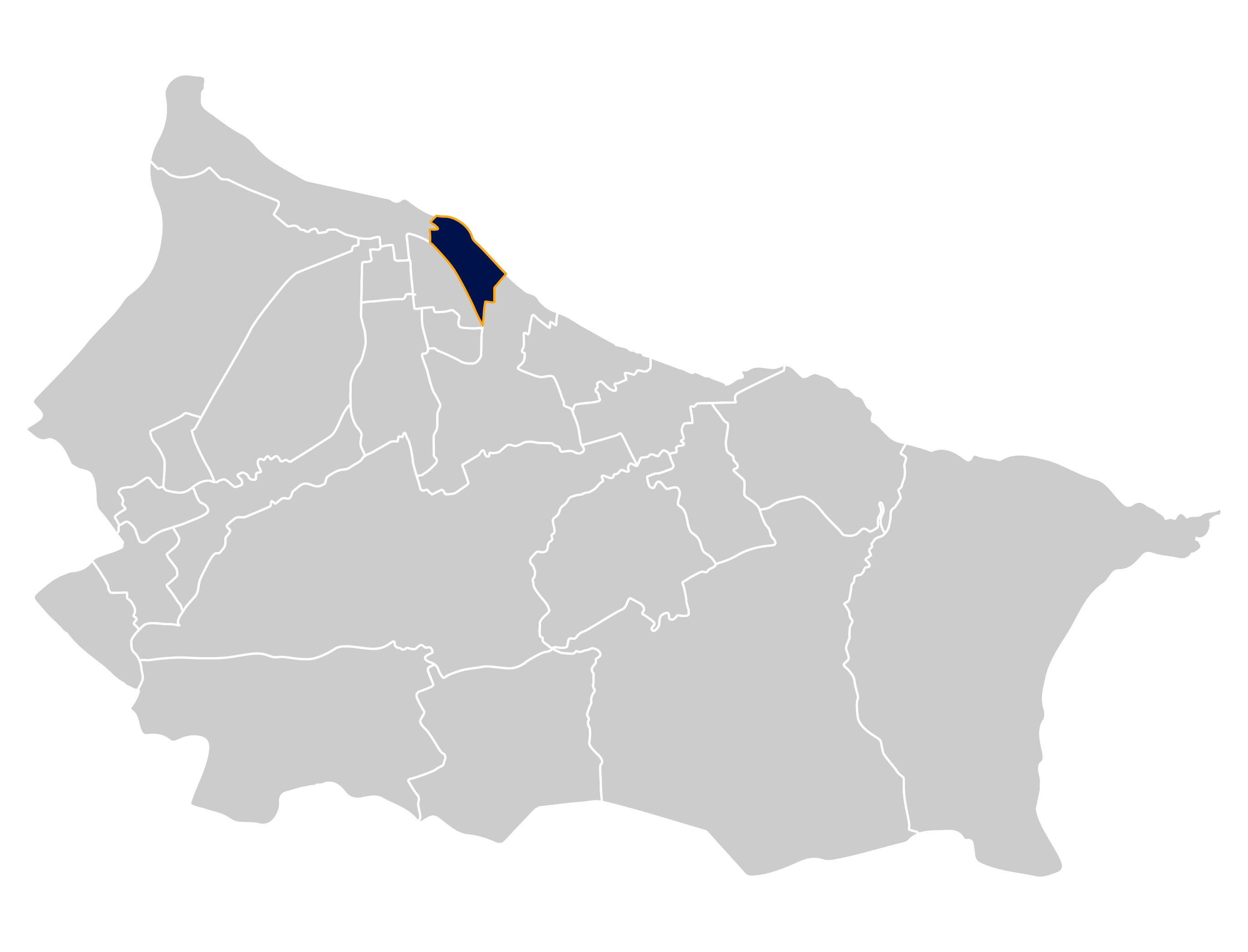Area map of the Zetland Ward